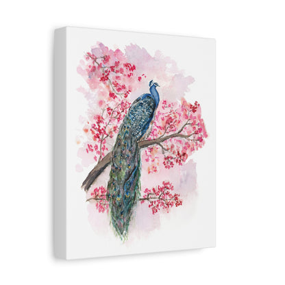 Peacock facing Right -  Stretched Canvas by Lora Cavallin