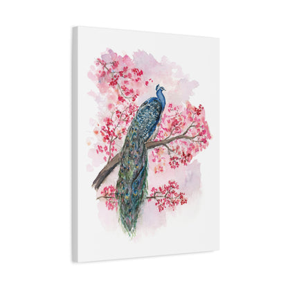 Peacock facing Right -  Stretched Canvas by Lora Cavallin