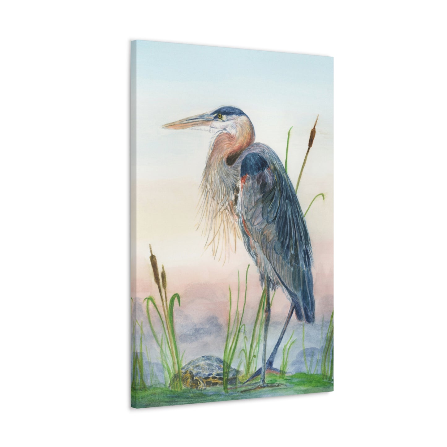Great Blue Heron with Turtle Stretched Watercolor Art Canvas Gallery Wraps