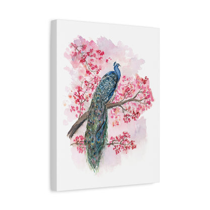 Peacock facing Right -  Stretched Canvas by Lora Cavallin