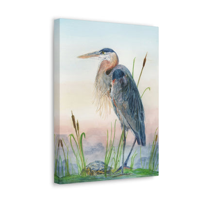 Great Blue Heron with Turtle Stretched Watercolor Art Canvas Gallery Wraps