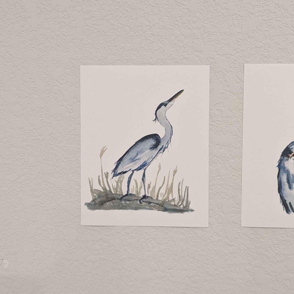 two paintings of birds are hanging on a wall