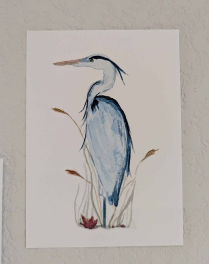 Coastal Art Prints - Set of 5 - Lora Cavallin Art - Not Framed Prints Only -  Print Set