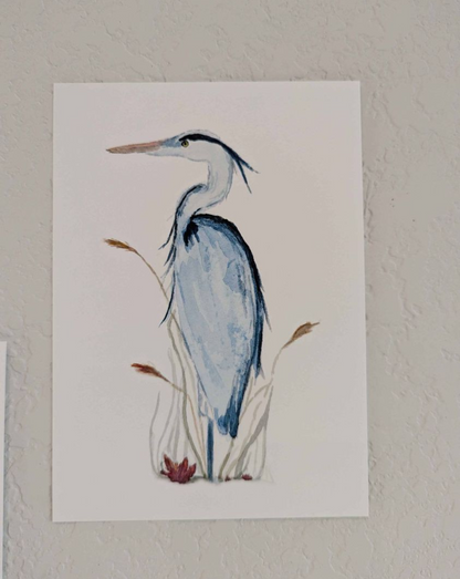 Coastal Art Prints - Set of 5 - Lora Cavallin Art - Not Framed Prints Only -  Print Set