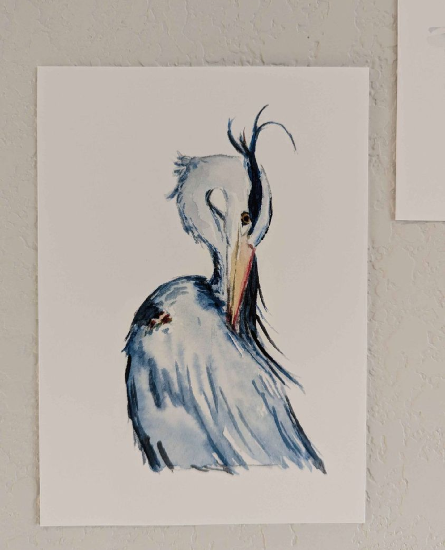 Coastal Art Prints - Set of 5 - Lora Cavallin Art - Not Framed Prints Only -  Print Set