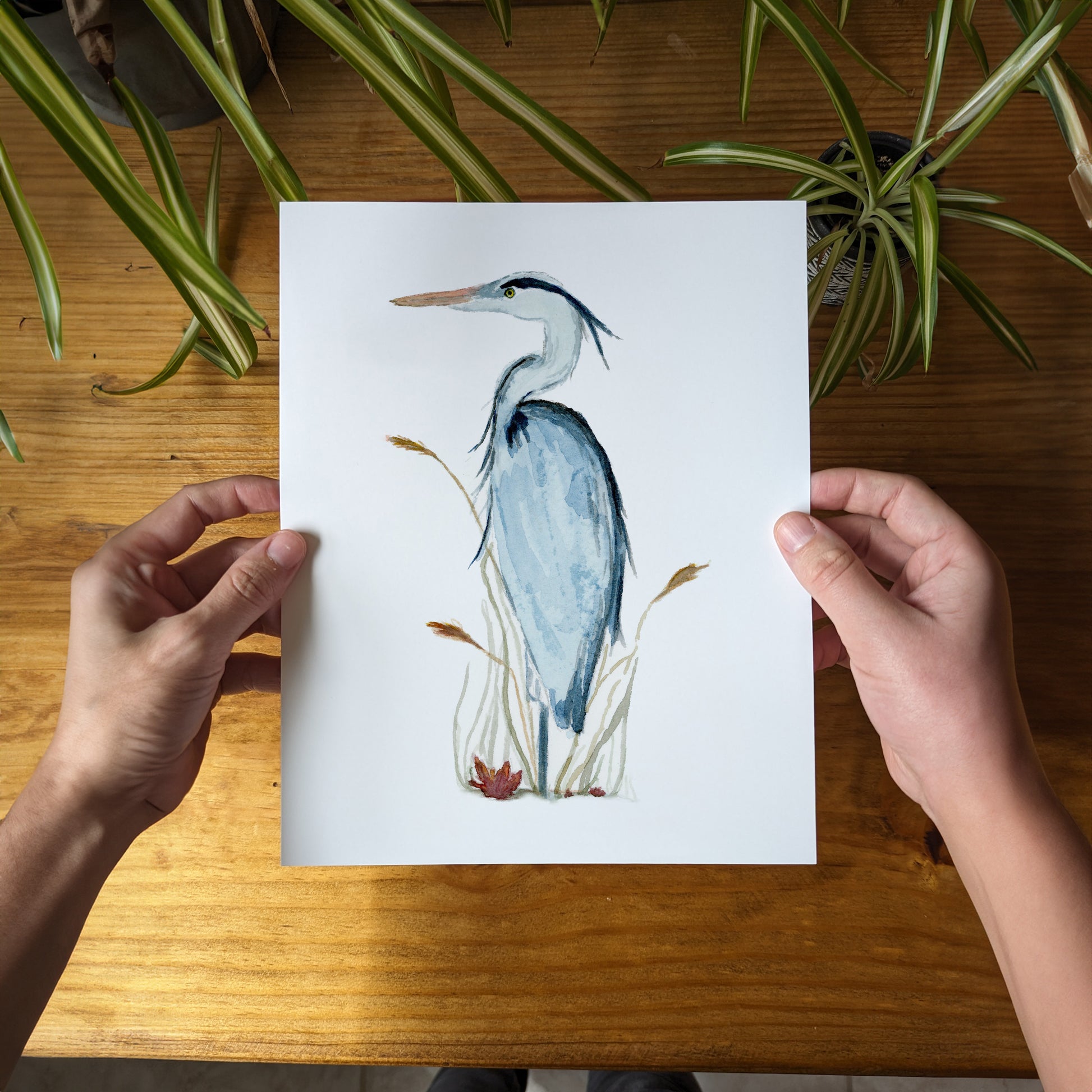 a person holding a card with a picture of a bird on it