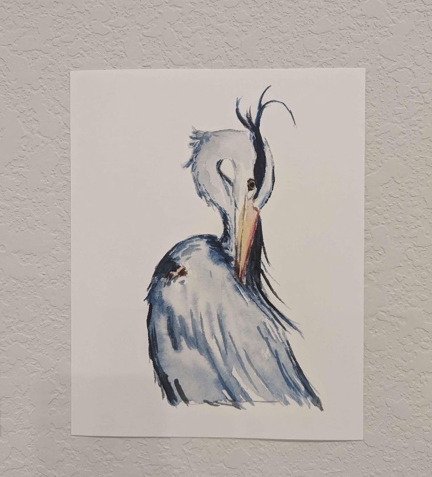 a picture of a bird with a long beak