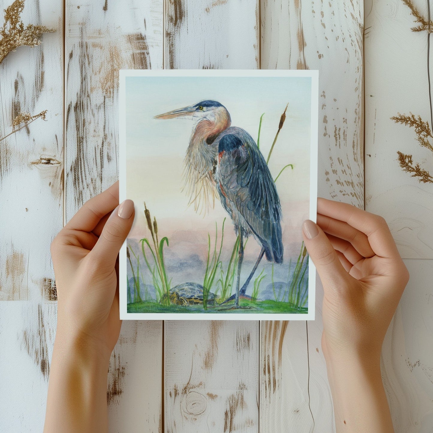 Great Blue Heron with turtle - Lora Cavallin Art - Not Framed Print Only