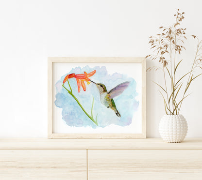 Hummingbird and Flower - Lora Cavallin Art - Not Framed Print Only