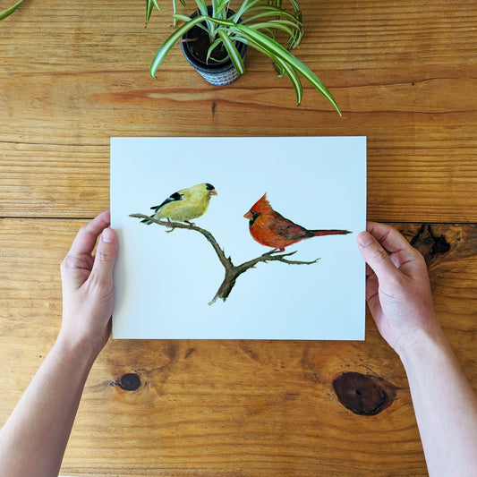Gold Finch and Red Cardinal Bird - Lora Cavallin Art - Not Framed Print Only