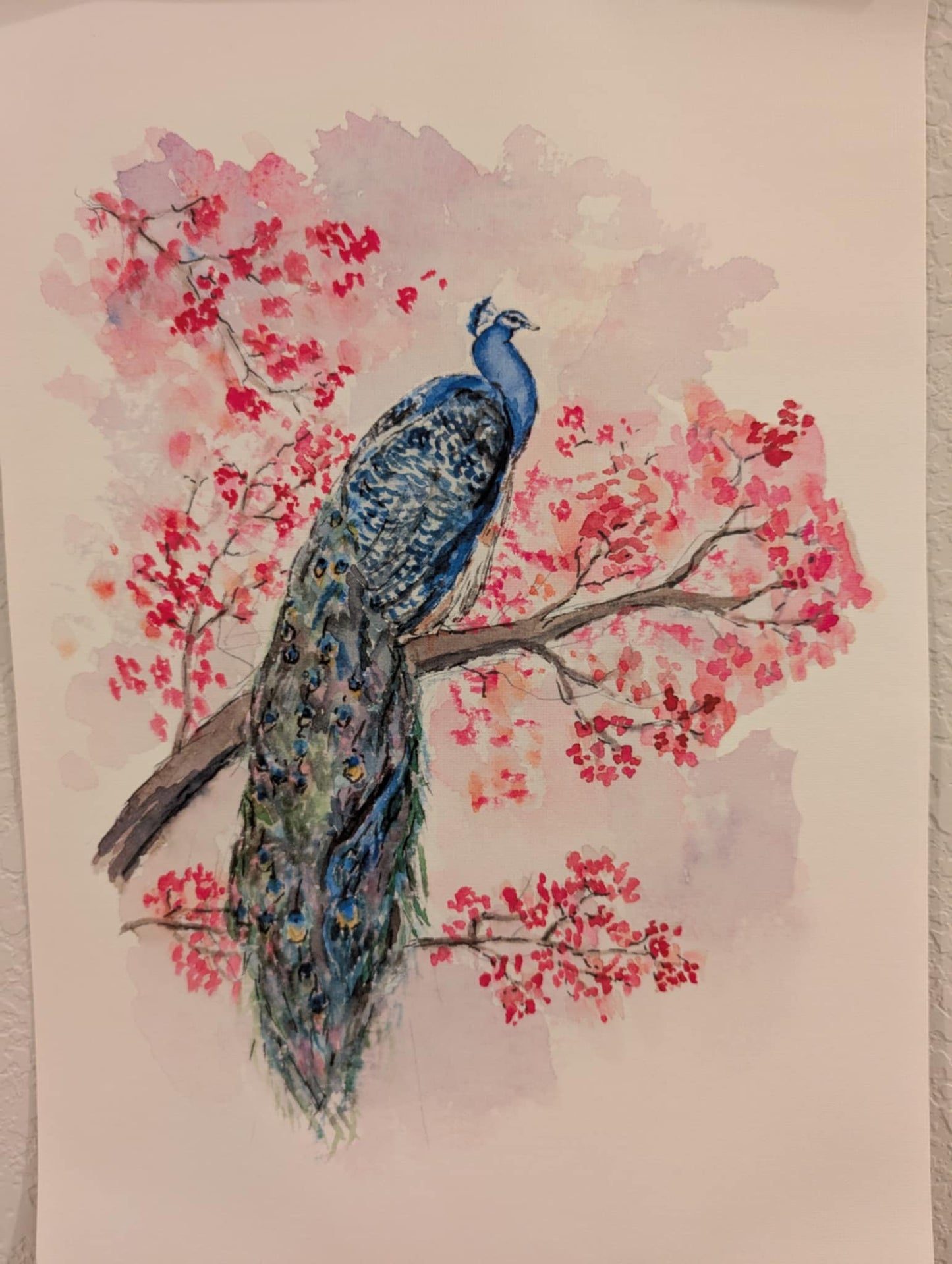 Pair Peacock Art Prints - Canvas Prints - With Hanging Poster Frames - 11" wide x 17" tall