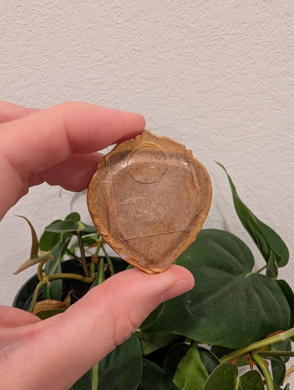 Mini Bluebirds Painting - Original Watercolor Art by Lora Cavallin