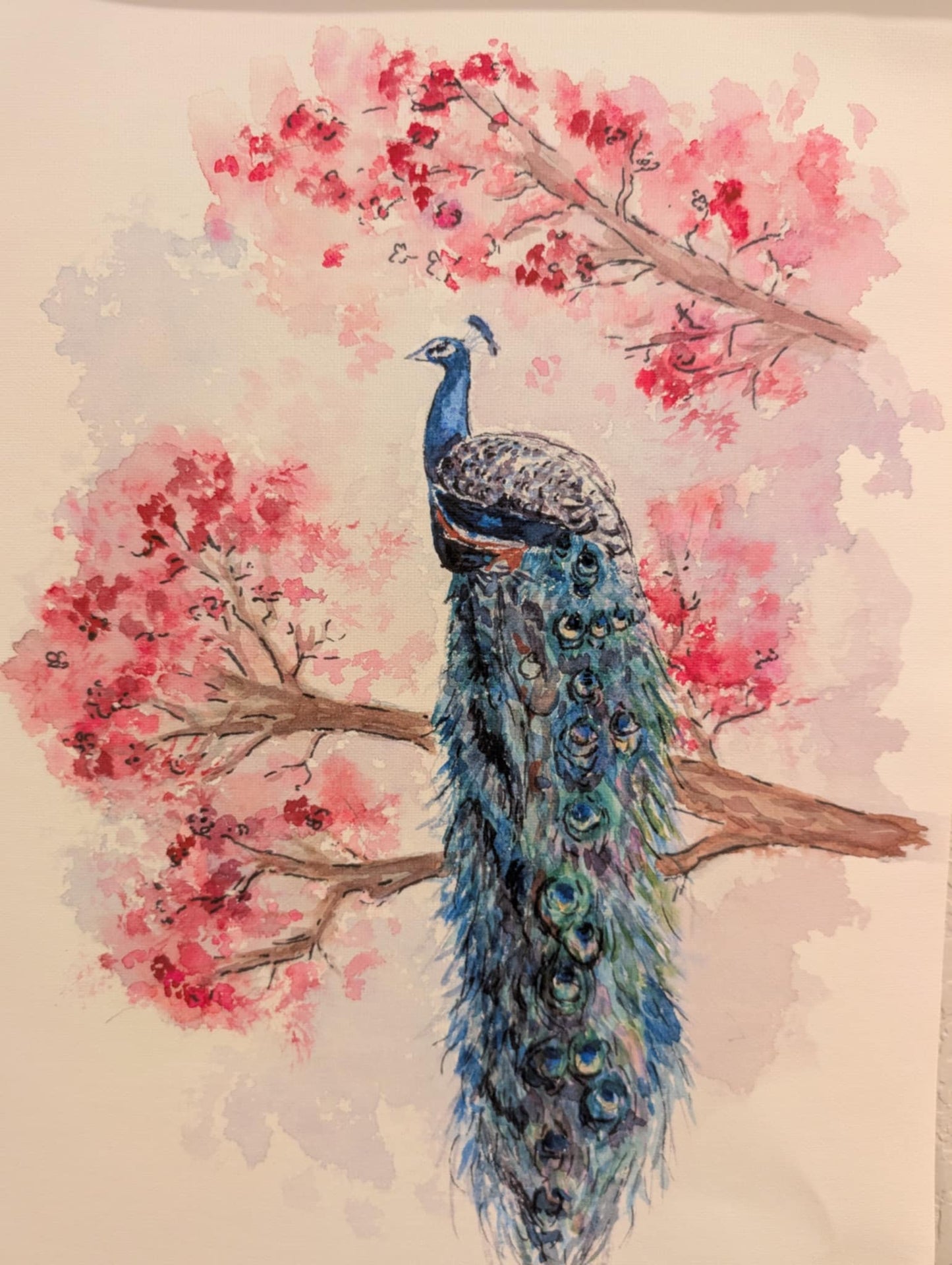 Pair Peacock Art Prints - Canvas Prints - With Hanging Poster Frames - 11" wide x 17" tall