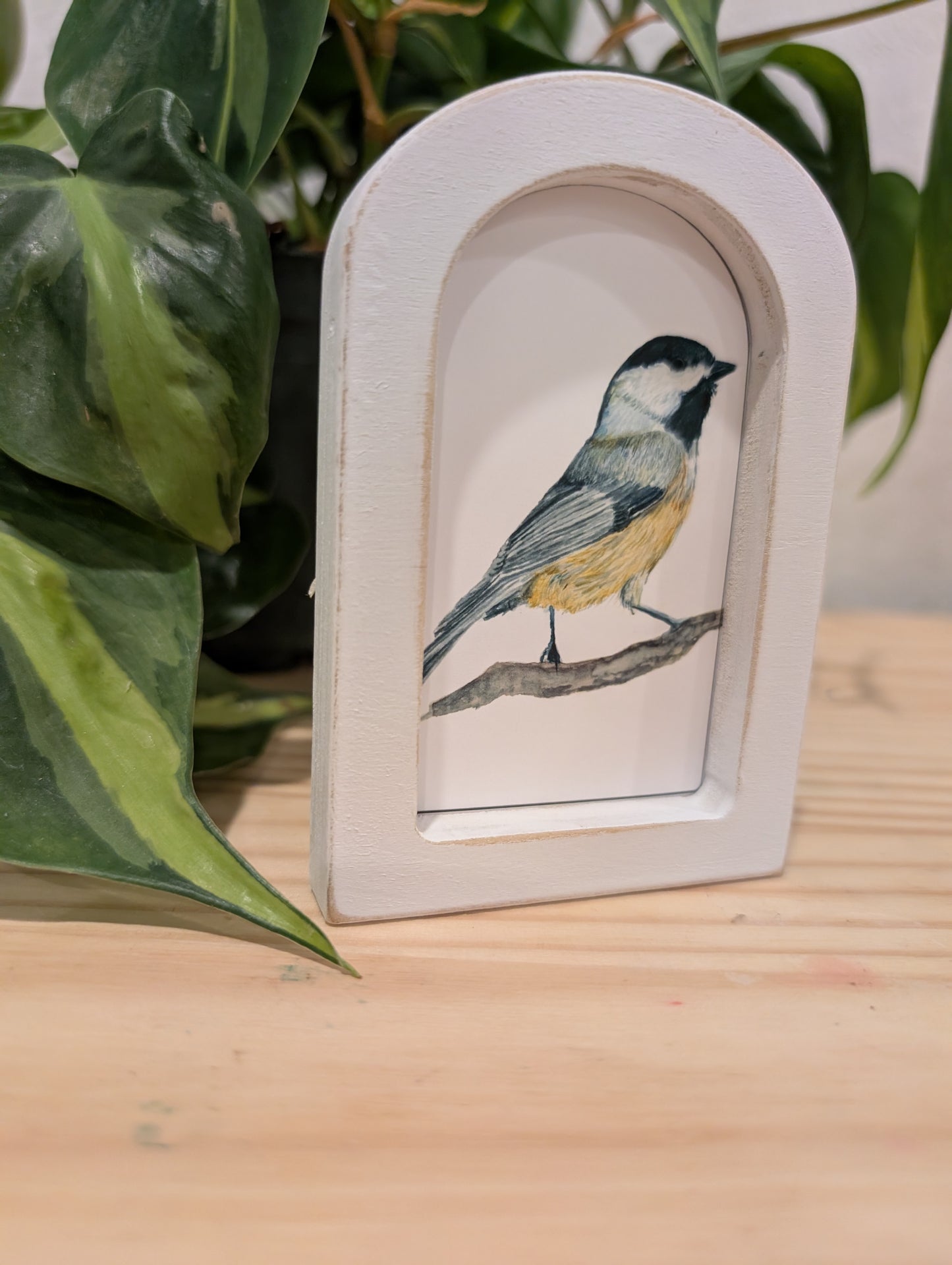 Mini Chickadee Bird Art Print - Wood Arch Frame - Lora Cavallin Art