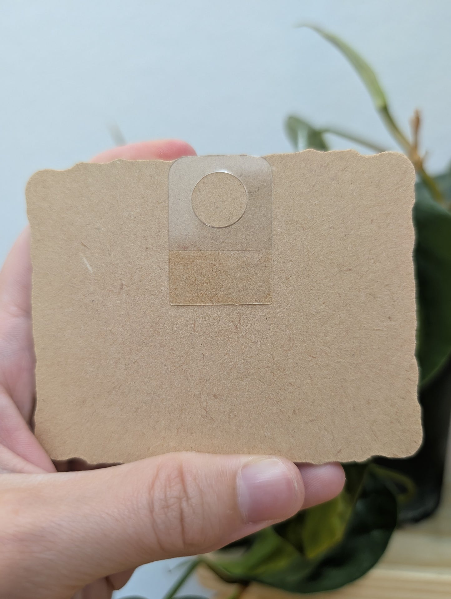 Mini Peacock Painting - Original Watercolor Art by Lora Cavallin