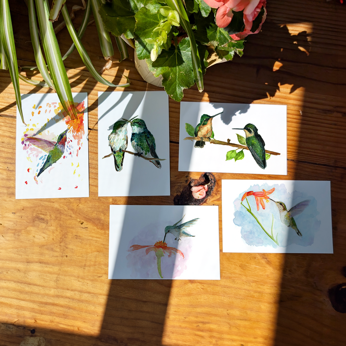 Set of 5 Hummingbird Art Prints – Unframed Watercolor Giclée Prints by Lora Cavallin – Bird Wall Art for Home Decor